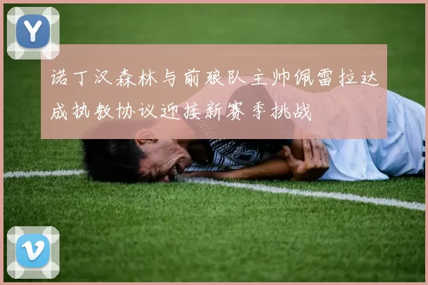 诺丁汉森林与前狼队主帅佩雷拉达成执教协议迎接新赛季挑战